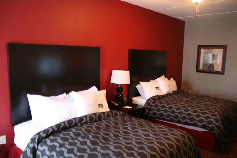 Homewood Suites By Hilton Leesburg Room photo